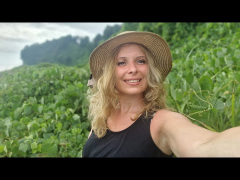 მე-12 სახლი ასტროლოგიაში