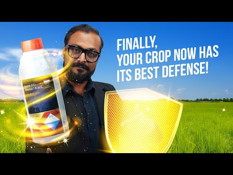 Protect your crops from damaging fungal infections with AIMCO Altroz