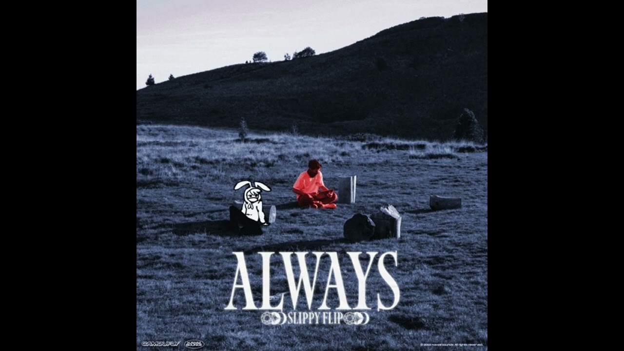 Camoufly - Always Extended + Reverb