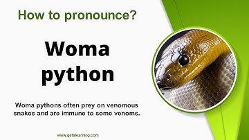 How to pronounce (Woma python) in English correctly