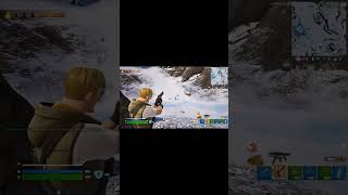 Fortnite FuN