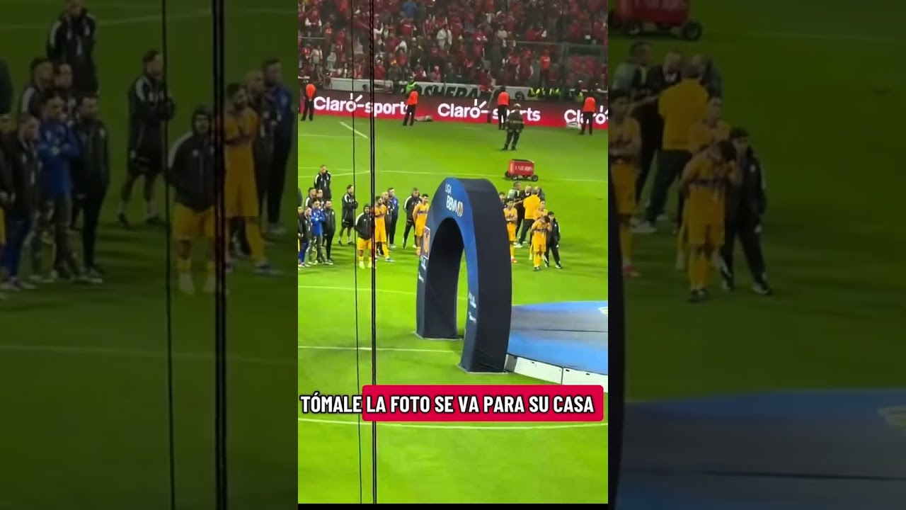 EL EQUIPO DE TIGRES MIRANDO AL BICAMPEON 