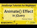 #42 JQuery Animate Effect