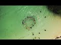DJI 0992
