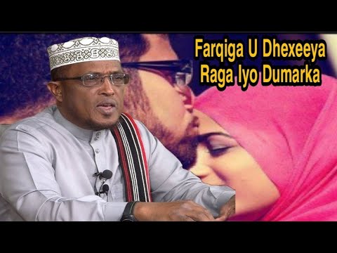 Farqiga U Dhexeeya Raga Iyo Dumarka Iyo Sharci Ahaan Waxa Ay Ku Kala Duwan Yihiin Sheikh Dirir