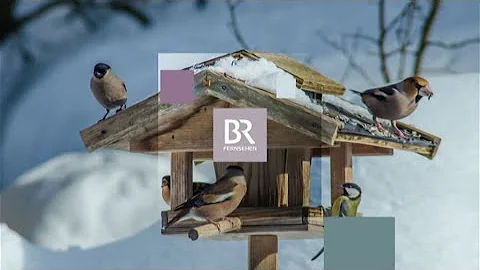 BR Fernsehen SD (Bavaria, Germany) - Promos (January 16, 2023)