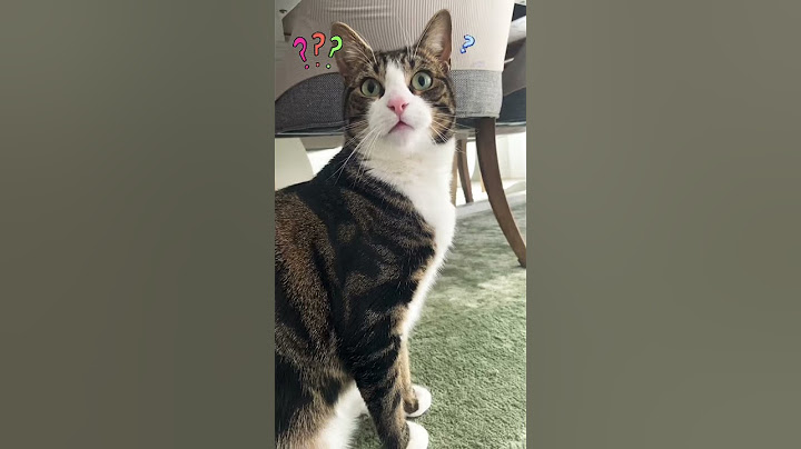 confused#face🐈🐈