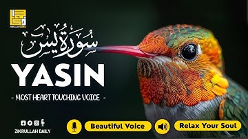 Relaxing Surah Yasin for Sleep, Depression, & Anxiety ✦ Peaceful Surah Yaseen سورة يس ✦ Hejazi