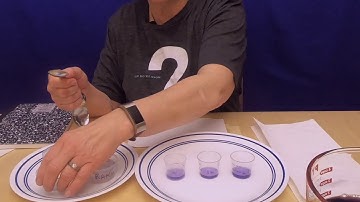 Science at Home: Red Cabbage pH Experiment