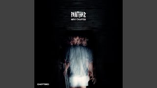 Slow Down - Panthar