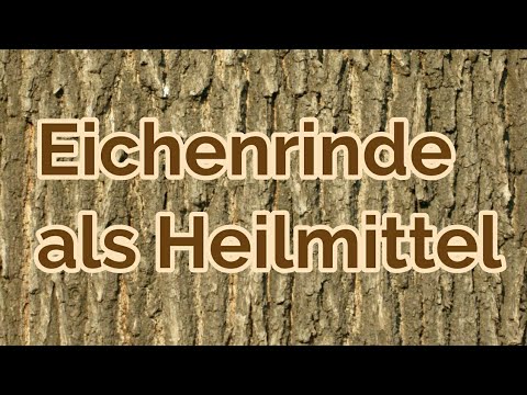 Video: Wofür Behandelt Eichenrinde?