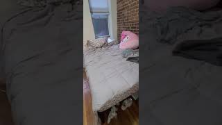 3 bedrooms apartment in Upper East side NYC.  October