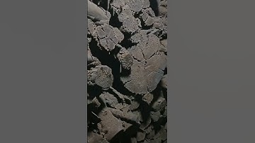 Cô gái làm lò than