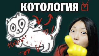 КАК МЯУКАТЬ И ТЫГЫДЫКАТЬ ПО-КОРЕЙСКИ? Урок корейской котологии