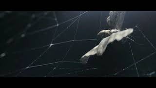 pyrokinesis - Дети бабочек [slowed + reverb]