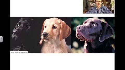 Complex Patterns of Inheritance