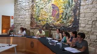 PLE D'ORGANITZACIÓ 4/7/2023