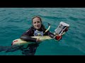 Earth Expeditions: CORAL Probes the Great Barrier Reef