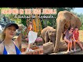 CAMPING IN THE THAI JUNGLE & VISITING THE ELEPHANTS 🐘