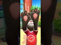 Talking tom cat 2025 scratch