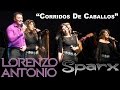 Lorenzo Antonio y SPARX - "Corridos de Caballos" (en vivo)