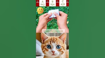 guess the number challenge #shorts #trending #funny #comedy #challenge #edit #short #cat #shortvideo
