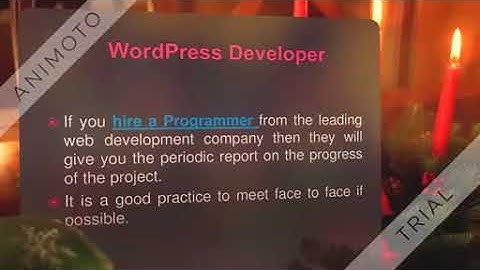How to choose best WordPress Developer