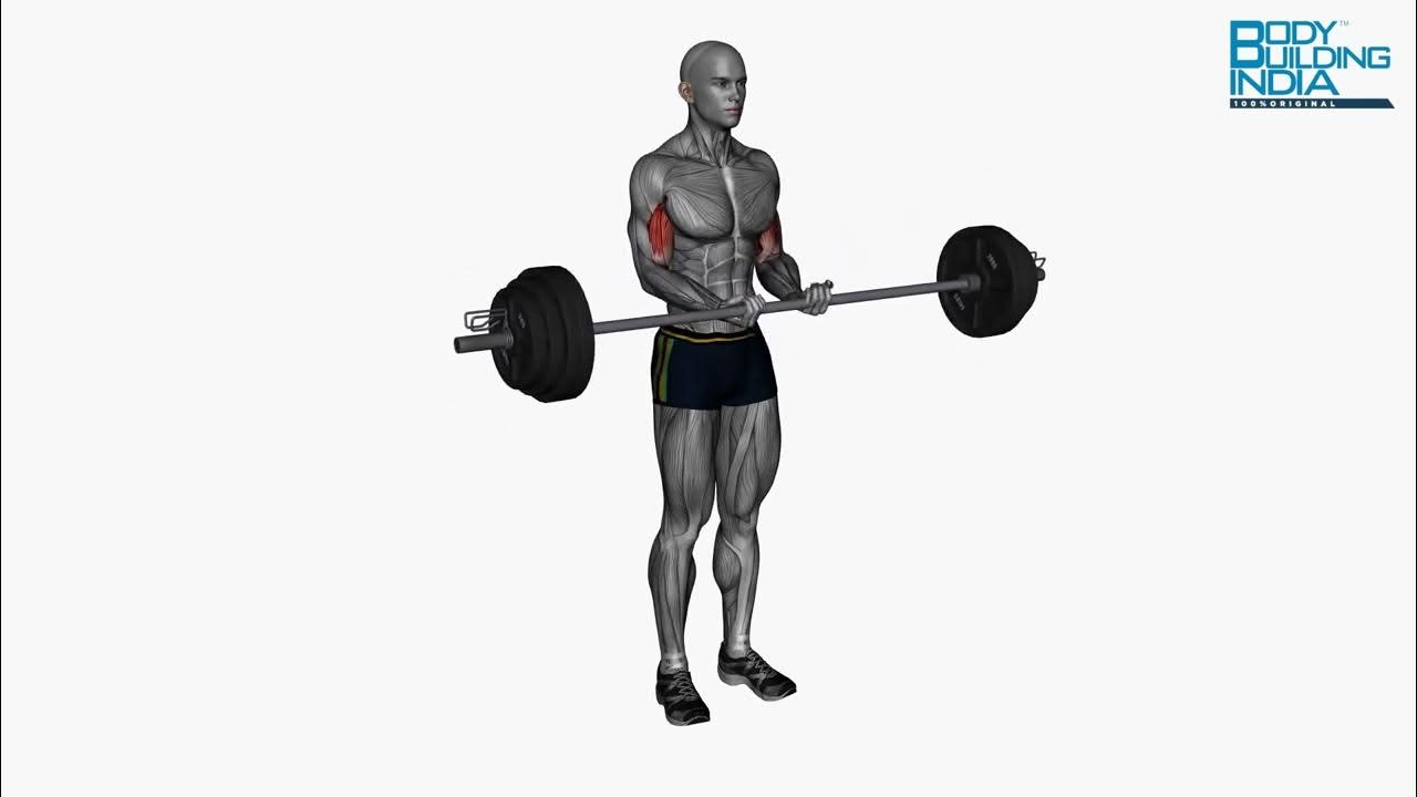Biceps Workout Exercise 9 Barbell Biceps Curl Close Grip