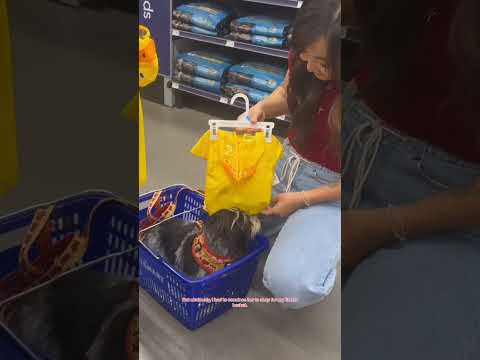 What better time to build Easter baskets for your dogs than at the PetSmart Easter event? 🐣🐾