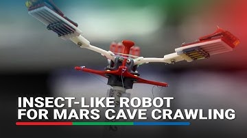 Insect-like robot for Mars cave crawling