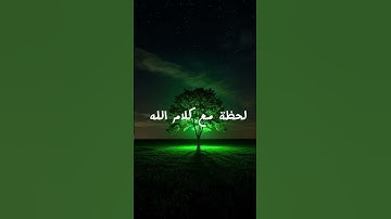 عبد الرحمن مسعد #خاشعة_تلاوة #راحة_نفسية #خاشعة_مبكية #تيك_توك #تلاوة_نادرة_لاول_مرة #اكسبلور #duet