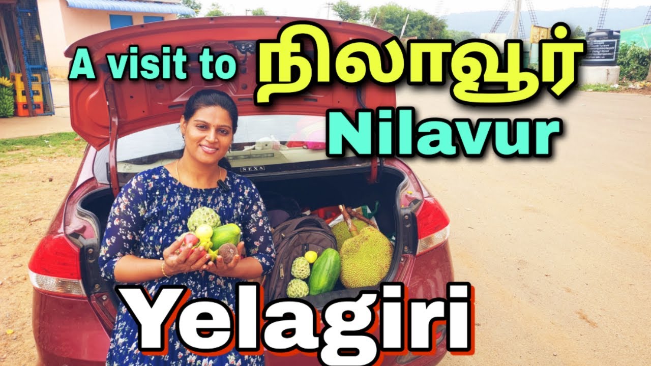 NILAVUR A Village Visit Near Yelagiri Shopping Seasonal Fruits