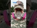 Gardening in the air pollution from the canadian wild fires