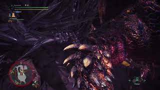 253 Nergi Gs
