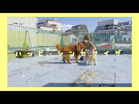 【ハッピーシンセサイザ】 踊ってみた🕺