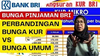 BUNGA PINJAMAN BANK BRI 100 JUTA SYARAT PENGAJUAN PINJAMAN KUR BANK BRI 2024