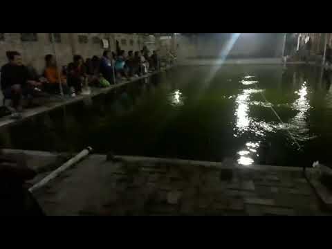 mancing-kolam-ikan-bawal