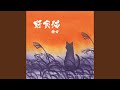 野良猫