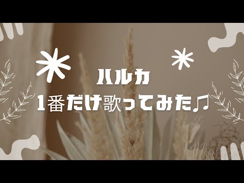 YOASOBI／ハルカ／歌ってみた