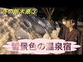 とちおとめ25  冬の栃木県3