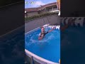 I M The Champion Shorts Videoviral Videomaker Videooftheday I M The Champion Shorts Videoviral Videomaker Videooftheday