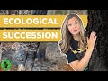 The Role of Disturbances in Ecological Succession and Biodiversity
