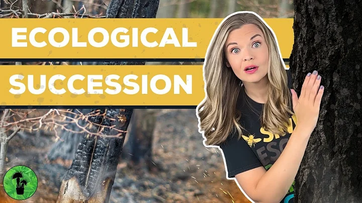 Ecological Succession | Primary & Secondary