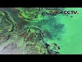 宛如天然调色盘！一起打卡内蒙古“绿松石湖” | CCTV