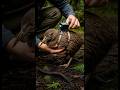 I Strapped a Micro Camera on a Kiwi Bird… What It Found Underground Will Shock You 🐦