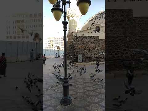 مسجد ابو بكر الصديق بجوار المسجد النبوي