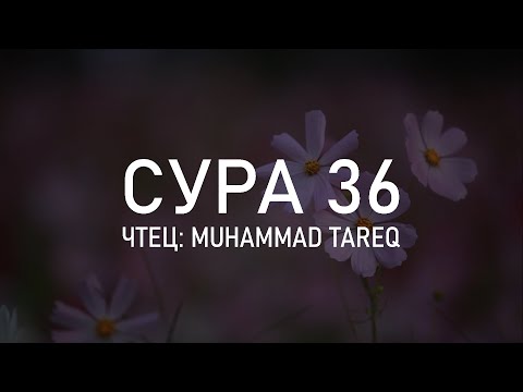 Сура 36 «Йа Син» - Мухаммад Тарик