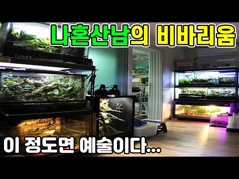 비바리움 고수가 원룸에 혼자 살게 되면 생기는 일;; 이 정도라고??ㄷㄷ