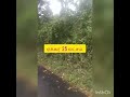 96 ACORE எஸ்டேட்  காபி மிளகு ஏலம் விற்பனை Cell 9865742067