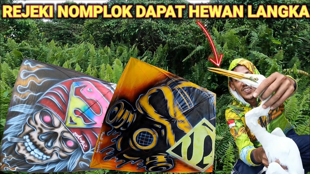 2 HARI BERBURU BERPETUALANG DAN RIVYU LAYANGAN TERBARU SUPER BOY!